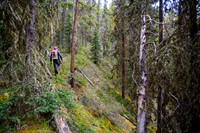 Hiking up on climber's left of the creek.