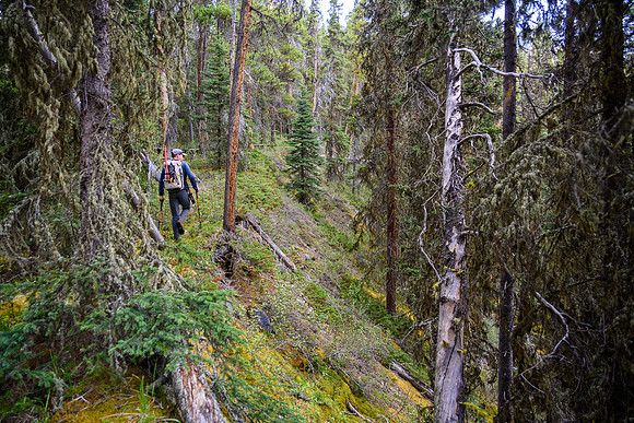 Hiking up on climber's left of the creek.