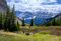Hiking back into the approach creek.