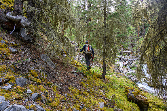 Hiking up the approach creek.