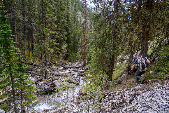 Hiking back down the approach creek.