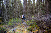 Starting up the approach creek from the Cascade fire road.