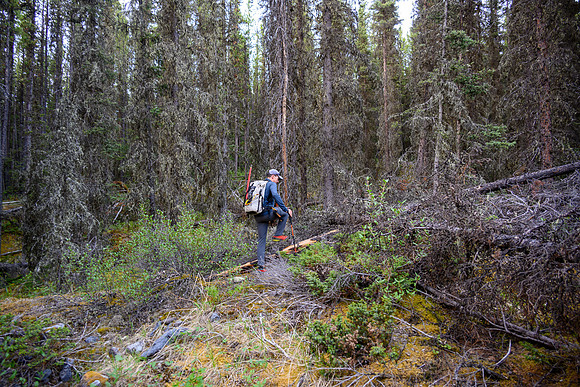 Starting up the approach creek from the Cascade fire road.