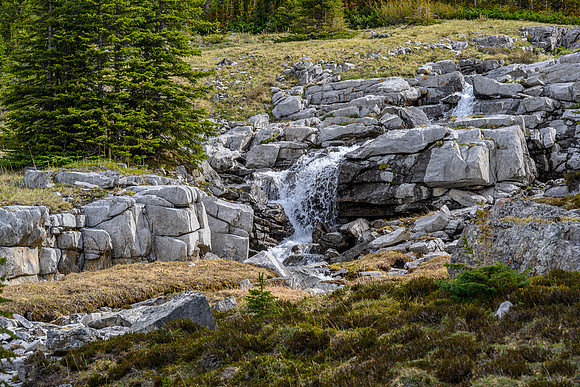 Hiking the upper part of the creek just before the lake.