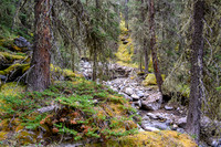 Hiking up the approach creek.