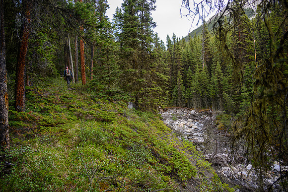 Hiking up on climber's left of the creek.