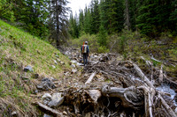 Hiking up the approach creek.
