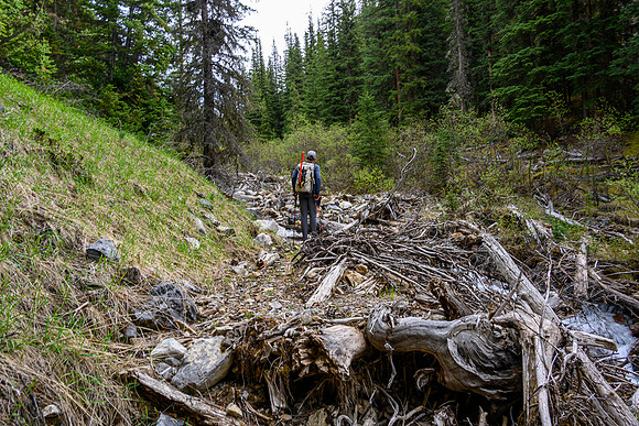 Hiking up the approach creek.