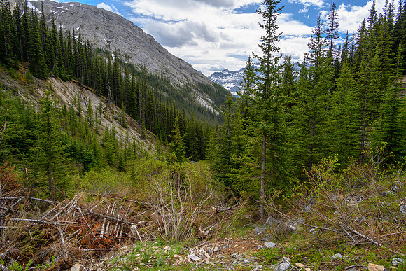 Choked up valley with avalanche debris.
