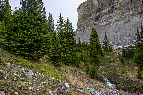 Hiking the upper part of the creek just before the lake.