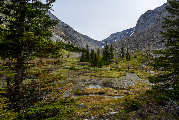 Hiking the upper part of the creek just before the lake.