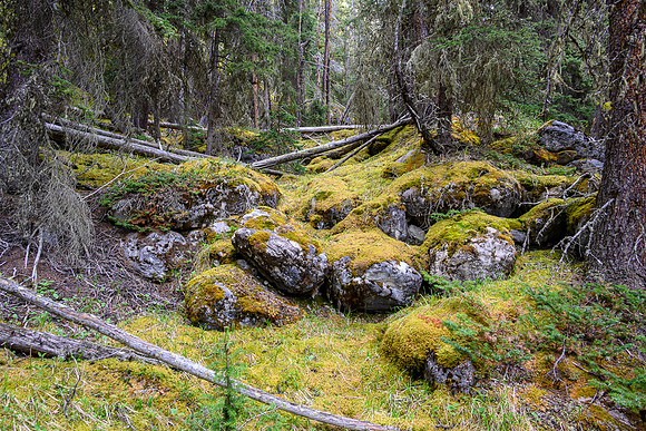 Hiking up the approach creek.