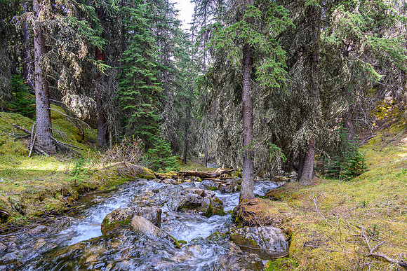 The lovely approach creek.