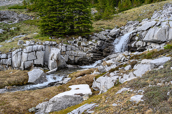 Hiking back into the approach creek.