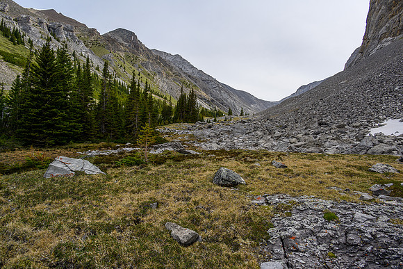 Hiking the upper part of the creek just before the lake.