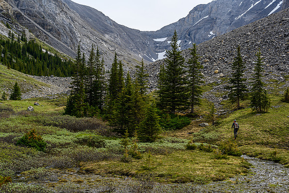 Hiking the upper part of the creek just before the lake.
