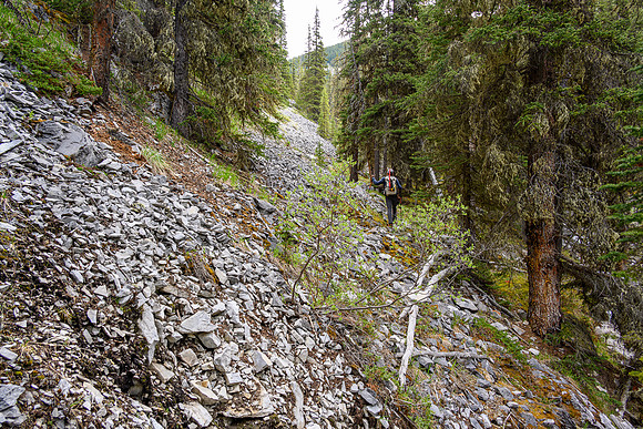 Hiking up the approach creek.