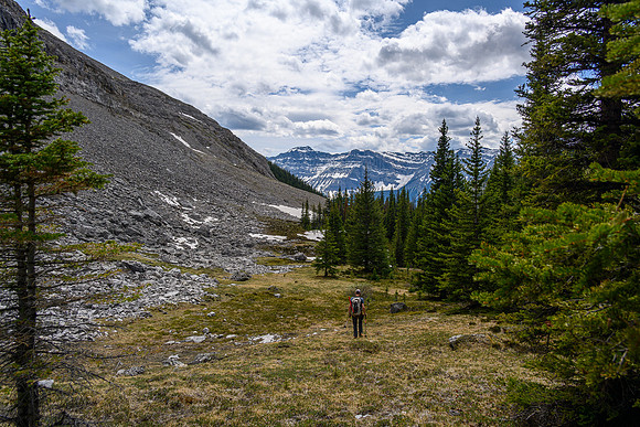 Hiking back into the approach creek.