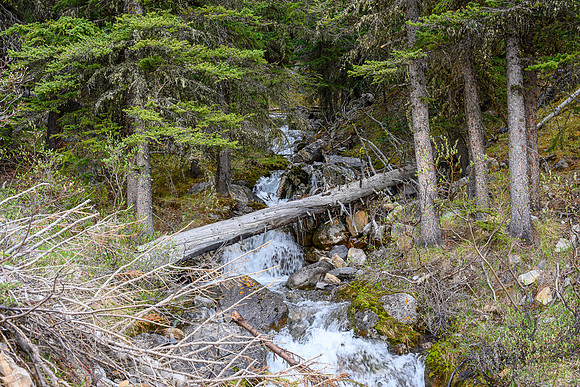 Hiking up the approach creek.