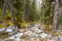Hiking up the approach creek.