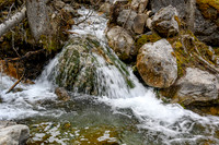 Hiking up the approach creek.