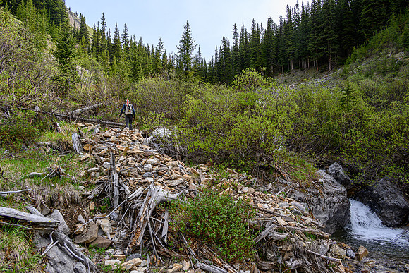 Hiking up the approach creek.