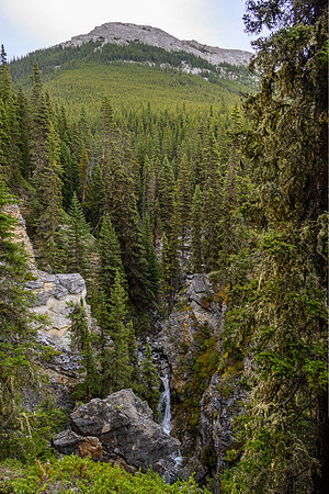 A waterfall in the creek below as we traverse high above.