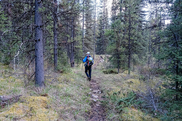 On the Stony Creek Trail.