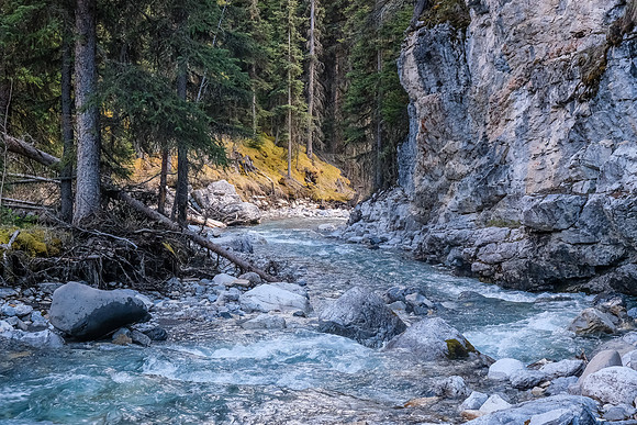 Early evening creek views.