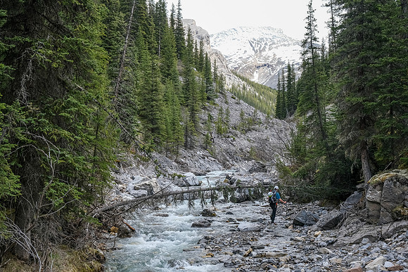 Hiking up the access creek.