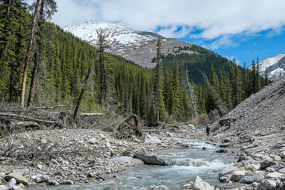 Hiking up the access creek.