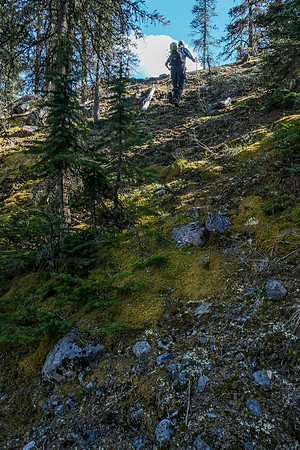 Ascending past the log jam.