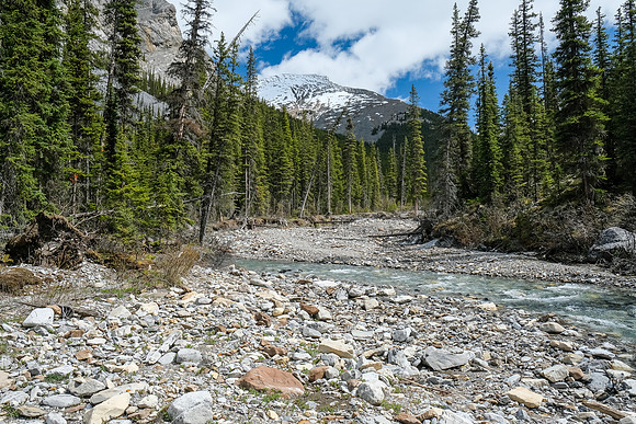 Hiking up the access creek. Haunted Peak is in the distance now, looking pretty easy.