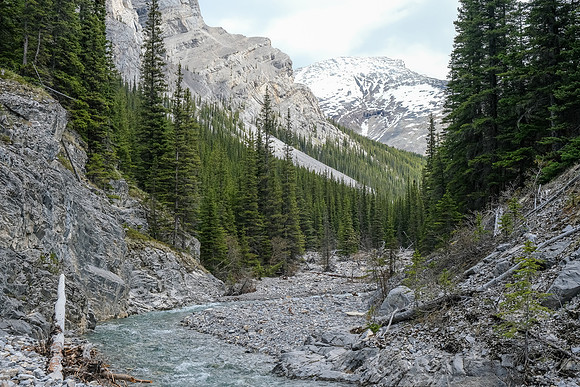 Hiking up the access creek.