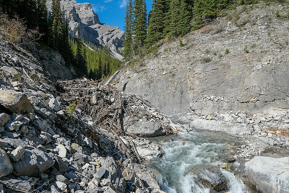 Exiting the creek.