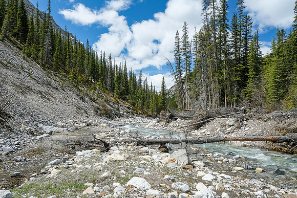 Hiking up the access creek.