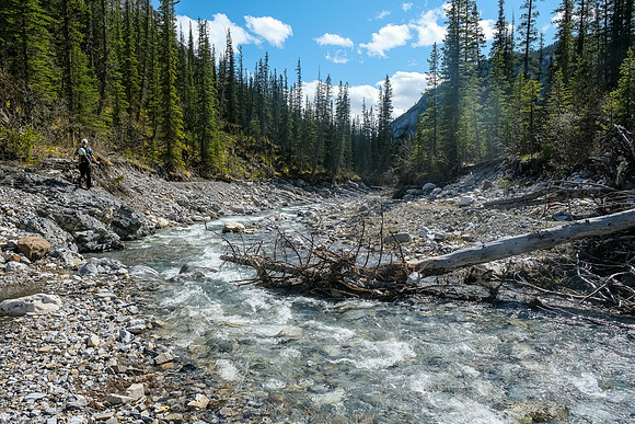 Exiting the creek.