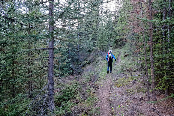 On Stony Creek Trail.