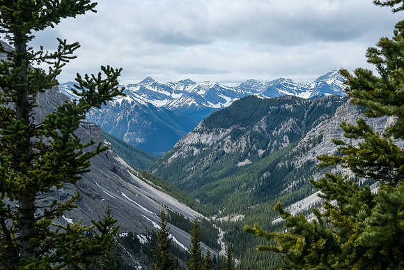 Wild views over our approach.