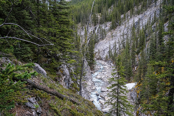 We are too far off creek here. On the way back we stayed in (literally) the creek for this section.
