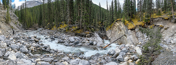 One particular section required us to gain height around a blockage in the creek.