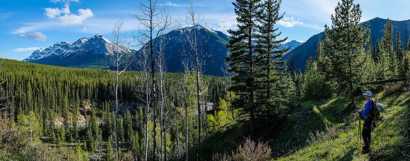 On Stony Creek Trail with views over the creek to Cascade and Elaphus.