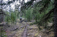 On the Stony Creek Trail.