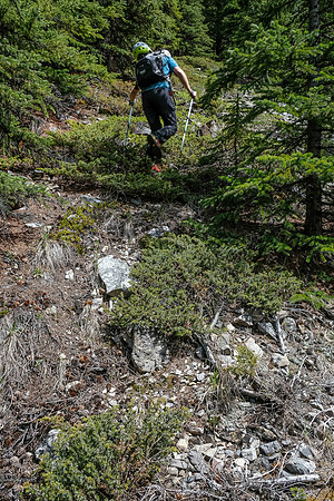 Hiking up light forest on the lower southwest slopes of Haunted Peak.