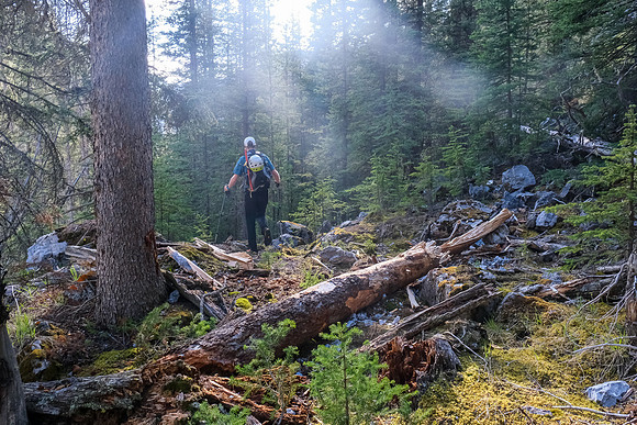 Exiting the creek as the sun starts to go down in the west.