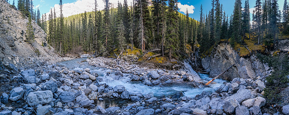 Note the major log jam in the creek (R). We had to get up on the bank to circumvent this section.