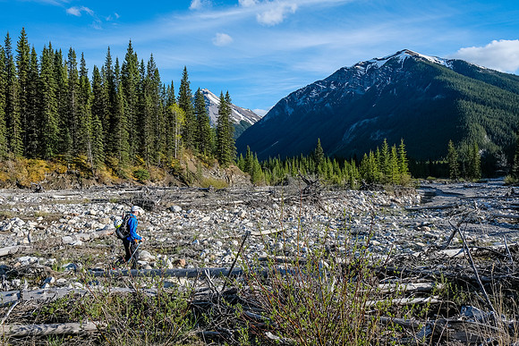 Back at the Stony Creek flats near our bikes. Elaphus rising in the bg.