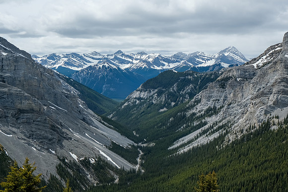 Wild views over our approach.