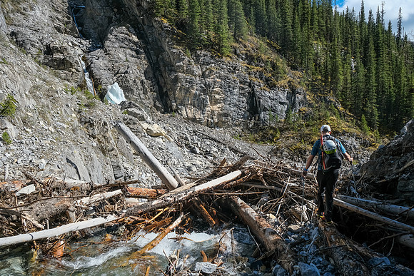 A major log jam along the creek - more evidence of recent heavy flows.