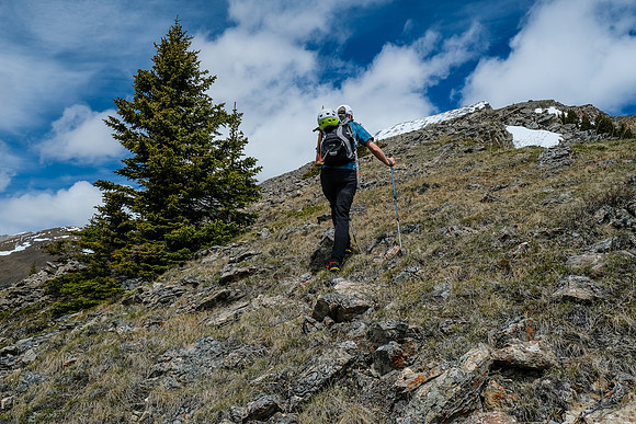 Transitioning above tree line.